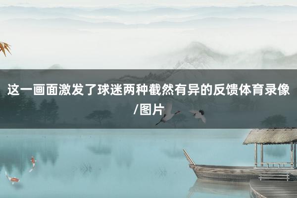 这一画面激发了球迷两种截然有异的反馈体育录像/图片