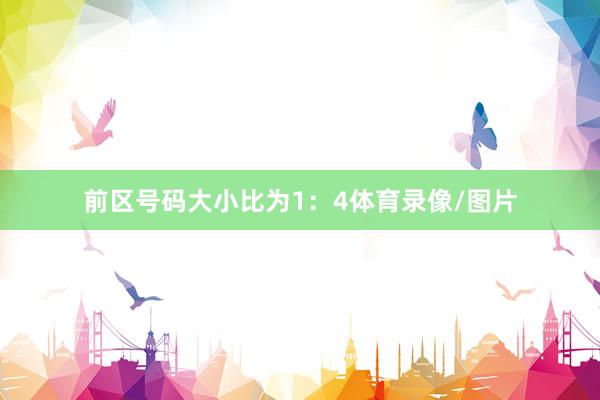 前区号码大小比为1：4体育录像/图片